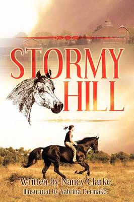 Stormy Hill (Hardback)