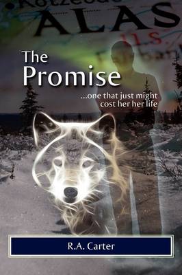 The Promise (Hardback)