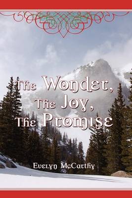 The Wonder, the Joy, the Promise Stories for Christmas (Hardback)