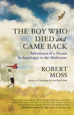 The Boy Who Died and Came Back: Adventures of a Dream Archaeologist in the Multiverse (Paperback)