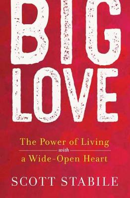 Big Love (Hardback)