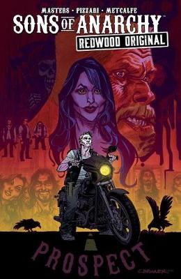 Cover Sons of Anarchy: Redwood Original Vol. 1: Prospect Blues - Sons of Anarchy 1