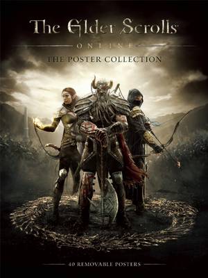Elder Scrolls Online (Paperback)