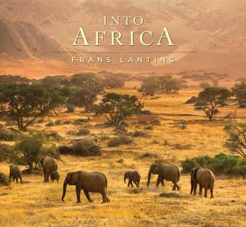 Into Africa (Hardback)