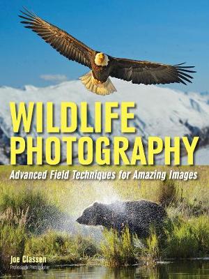 Wildlife Photography: Advanced Field Techniques for Tracking Elusive Animals and Capturing Magical Moments (Paperback)