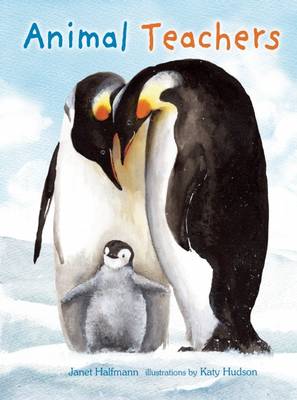 Animal Teachers (Hardback)