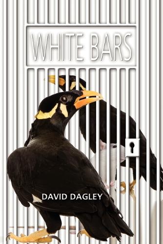 White Bars (Paperback)