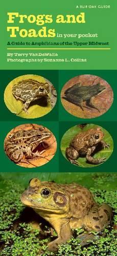 Frogs and Toads in Your Pocket: A Guide to Amphibians of the Upper Midwest - Bur Oak Guide