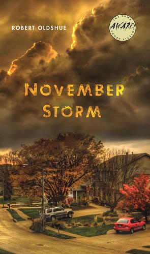 November Storm (Paperback)