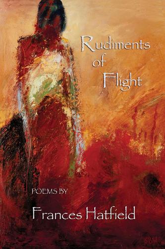 Rudiments of Flight (Paperback)