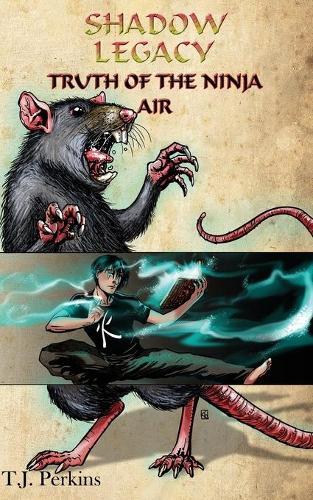 Truth of the Ninja - Air (Paperback)