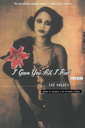 I Gave You All I Had: A Novel (Paperback)