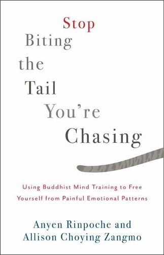 Stop Biting the Tail You're Chasing: Using Buddhist Mind Training to Free Yourself from Painful Emotional Patterns (Paperback)
