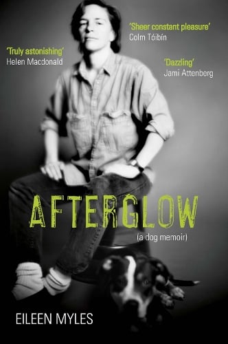 Afterglow: A Dog Memoir (Paperback)