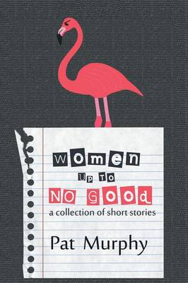 Women Up to No Good (Paperback)