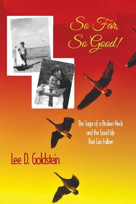 So Far, So Good: The Saga of a Broken Neck and the Good Life That Can Follow (Paperback)