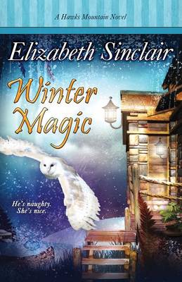 Winter Magic (Paperback)