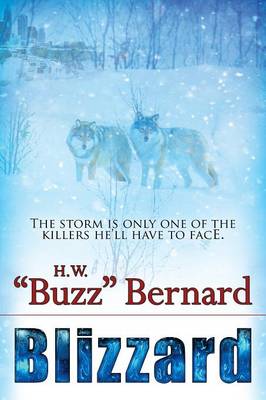 Blizzard (Paperback)