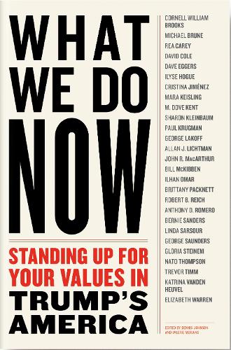 What We Do Now: (21) Progressivess on Standing Up For Your Values in Trump's America (Paperback)