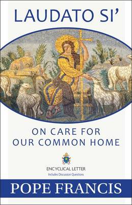 Laudato Si: On Care for Our Common Home (Paperback)