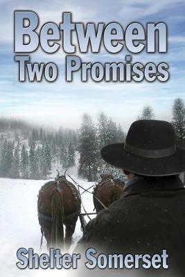 Between Two Promises (Paperback)