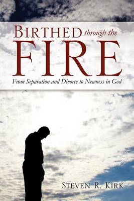 Birthed Through the Fire (Paperback)