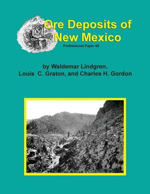 The Ore Deposits of New Mexico (Paperback)