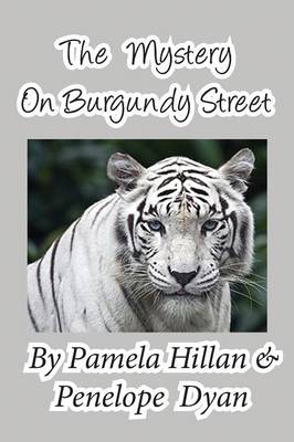 The Mystery on Burgundy Street (Paperback)