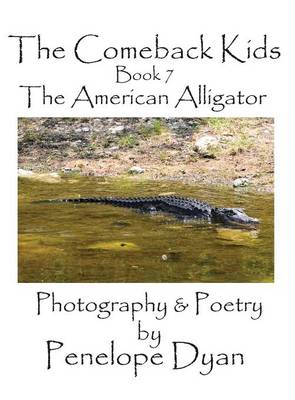 The Comeback Kids, Book 7, the American Alligator (Hardback)
