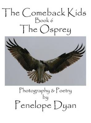 The Comeback Kids, Book 6, the Osprey (Hardback)