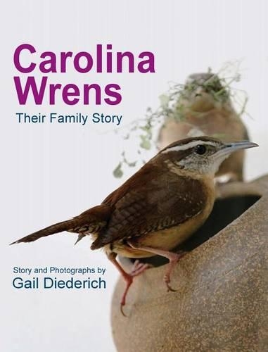Carolina Wrens: Their Family Story (Hardback)
