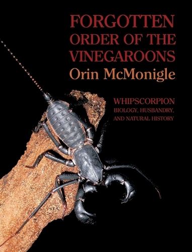 Forgotten Order of the Vinegaroons: Whipscorpion Biology, Husbandry, and Natural History (Hardback)