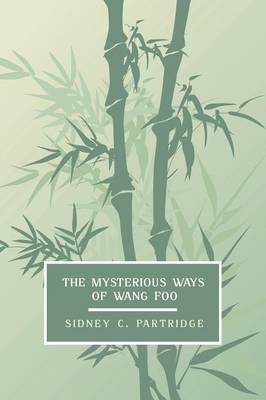 The Mysterious Ways of Wang Foo, Volume 1 (Paperback)
