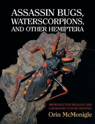 Assassin Bugs, Waterscorpions, and Other Hemiptera: Reproductive Biology and Laboratory Culture Methods (Hardback)