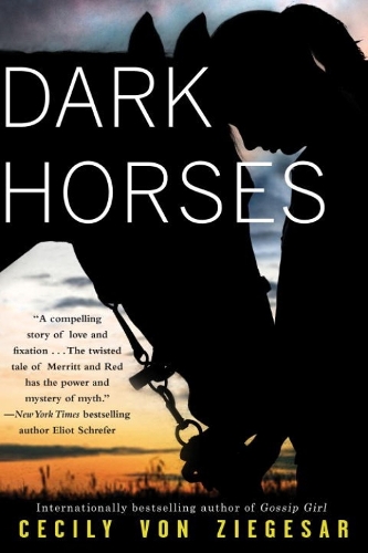 Dark Horses (Paperback)