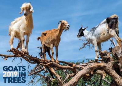 Goats in Trees 2019 Calendar (Calendar)