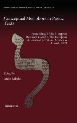 Conceptual Metaphors in Poetic Texts - Perspectives on Hebrew Scriptures and its Contexts (Hardback)