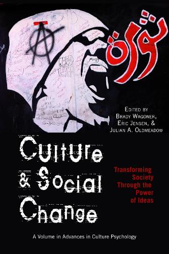Culture and Social Change: Transforming Society through the Power of Ideas (Hardback)