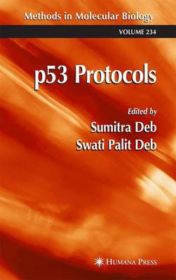 p53 Protocols - Methods in Molecular Biology 234 (Paperback)