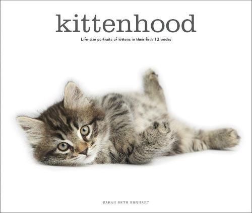 Kittenhood (Hardback)
