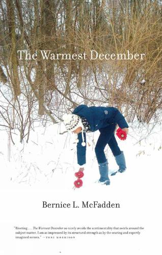 The Warmest December (Paperback)