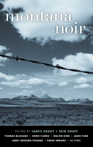 Montana Noir (Paperback)