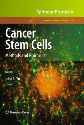 Cancer Stem Cells: Methods and Protocols - Methods in Molecular Biology 568 (Paperback)