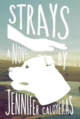 Strays (Hardback)