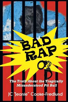 Bad Rap (Paperback)