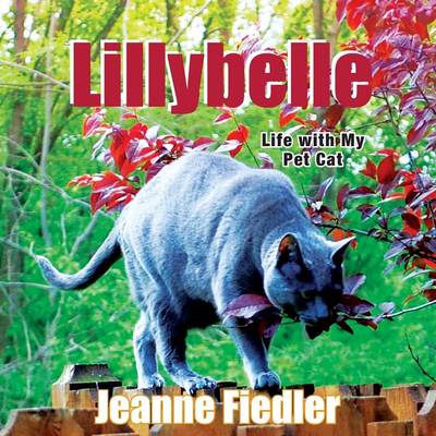 Lillybelle (Paperback)