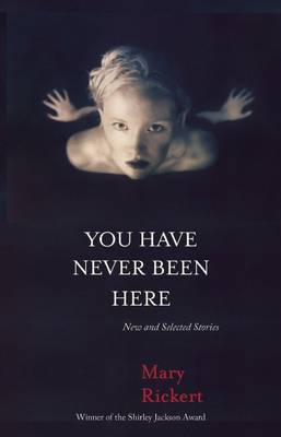 You Have Never Been Here: New and Selected Stories (Paperback)