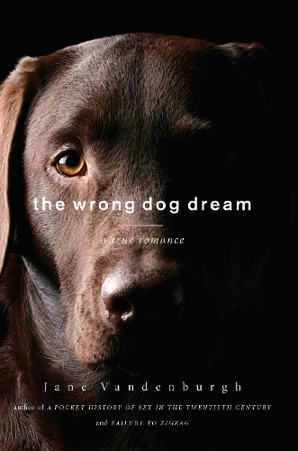 The Wrong Dog Dream: A True Romance (Hardback)