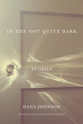 In the Not Quite Dark: Stories (Paperback)