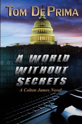 A World Without Secrets (Paperback)